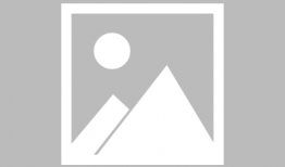 静默漫画,无声中的情感与故事